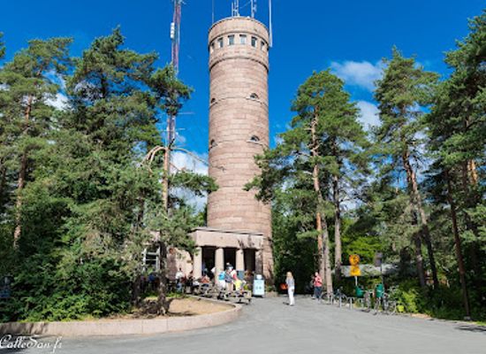 finland/tampere/pyynikki/landmark/pyynikki-nature-reserve