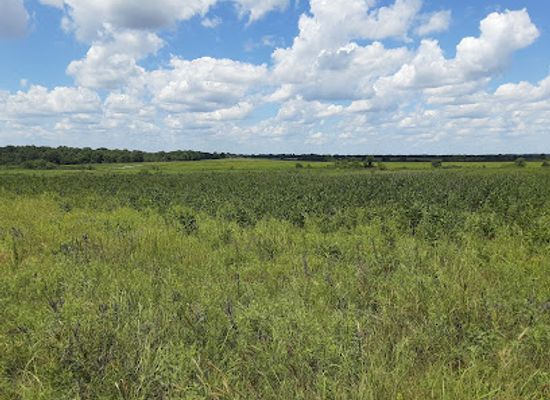 kansas/central-plains/landmark/prairie-state-park