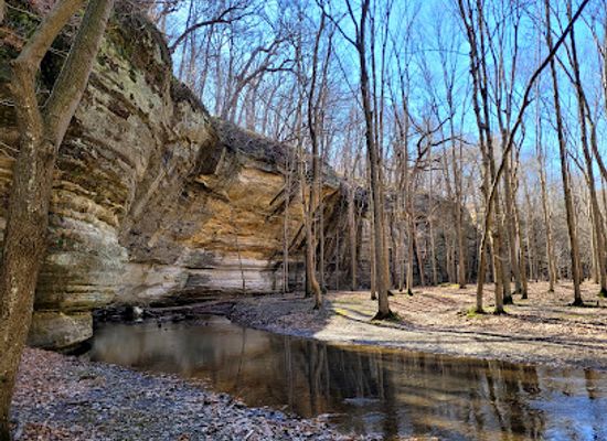 illinois/starved-rock-state-park/landmark/illinois-canyon