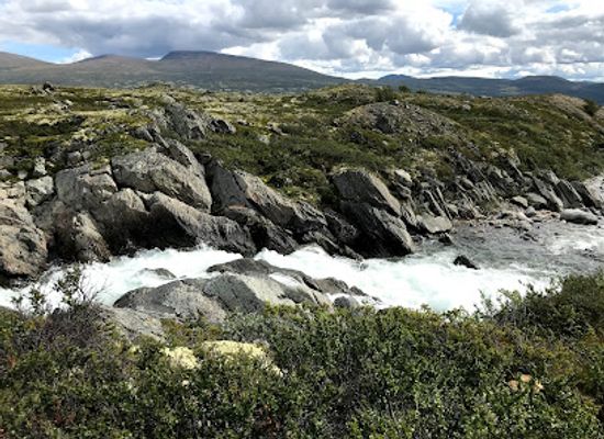 norway/oppdal/landmark/oppdal-safari
