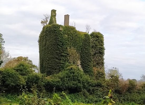 ireland/county-galway/landmark/knockma-wood