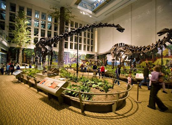 pennsylvania/laurel-highlands/landmark/carnegie-museum-of-natural-history