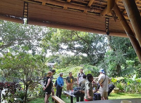 indonesia/bukit-lawang/landmark/sumatra-jungle-trek