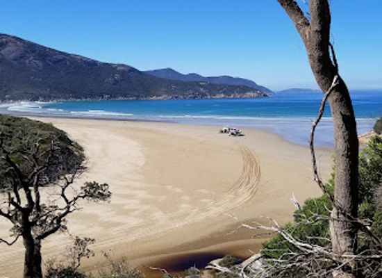 australia/wilson-s-promontory-national-park/landmark/prom-wildlife-walk