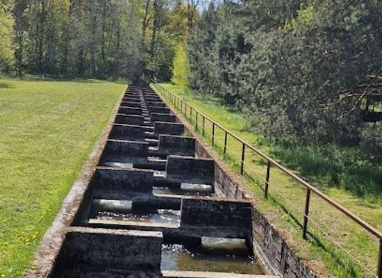 lithuania/samogitia/landmark/longest-salmon-fish-passage-in-lithuania