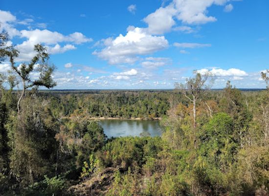florida/nature-coast/landmark/torreya-state-park