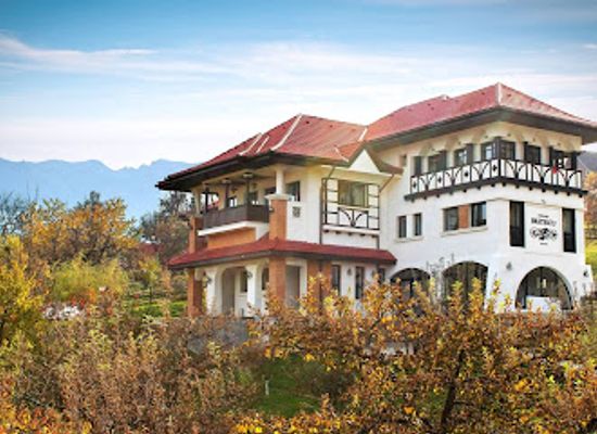 romania/bran-moieciu/landmark/bratescu-mansion