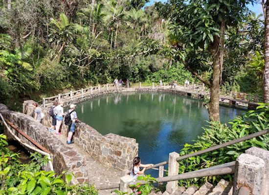 puerto-rico/yunque-national-forest/landmark/corredor-ecologico-del-noreste