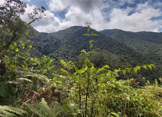 costa-rica/central-valley/landmark/parque-nacional-tapanti-macizo-de-la-muerte