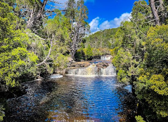 australia/cradle-mountain-lake-st-clair-national-park/landmark/enchanted-walk