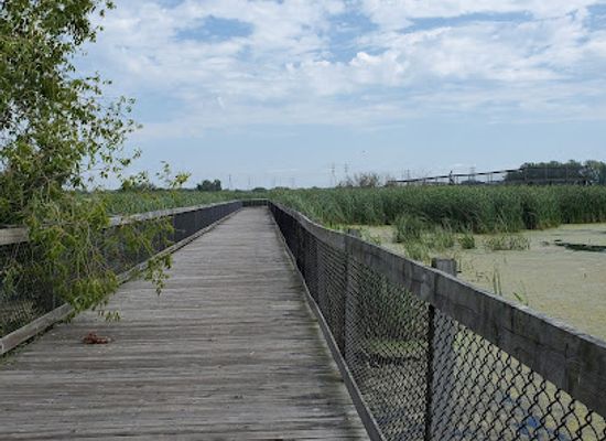 michigan/muskegon/landmark/muskegon-lake-nature-preserve