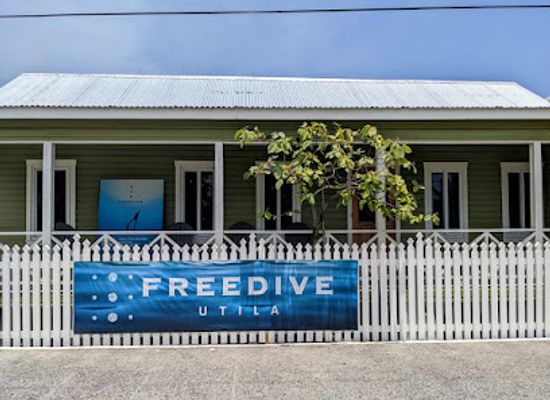 honduras/utila/landmark/freedive-utila