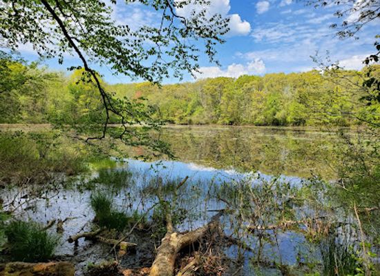 rhode-island/blackstone-valley/landmark/mass-audubon-s-oak-knoll-wildlife-sanctuary