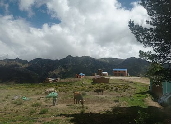 bolivia/andean-valleys/landmark/callumara-destino-turistico-khiwichata-tierra-de-los-incas-y-chullpas