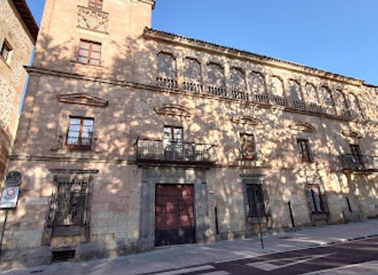 spain/salamanca/centro/landmark/palacio-de-orellana