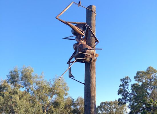 australia/central-queensland/landmark/the-big-meat-ant