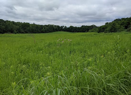 illinois/western-illinois/landmark/albany-mounds-state-historic-site