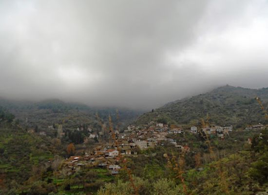 cyprus/mesaoria-plain/landmark/mondessi-forest