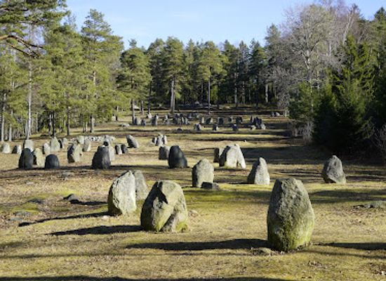 norway/ostfold/landmark/steinringfeltet