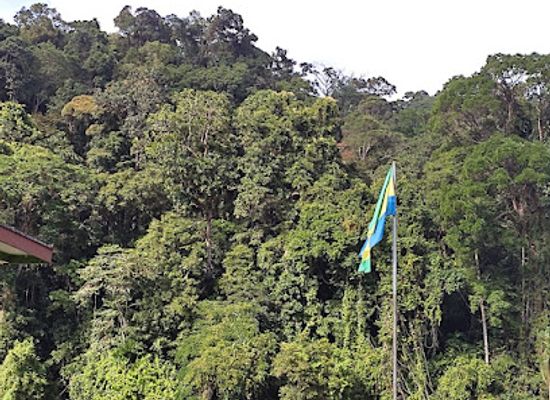 gabon/crystal-mountains-national-park/landmark/crystal-mountains-africa