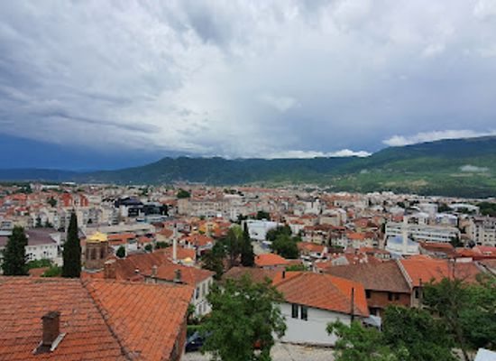 albania/patos/landmark/chinar-tree