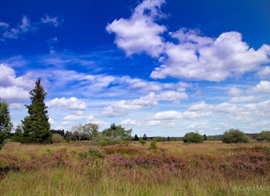 belgium/hautes-fagnes/landmark/cascade-du-bayehon