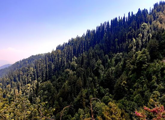 pakistan/azad-jammu-and-kashmir/landmark/ayubia-motto-tunnel