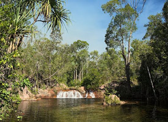 australia/darwin/landmark/northern-territory-indigenous-tours