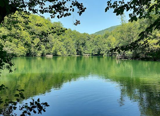 turkiye/black-sea-region/landmark/yedigoller-national-park