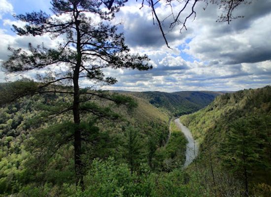 pennsylvania/northern-tier/landmark/colton-point-state-park