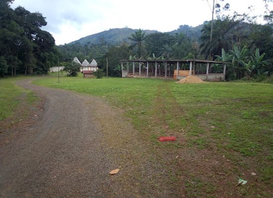 cameroon/nkongsamba/landmark/chefferie-bafang