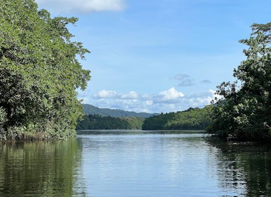australia/daintree-rainforest/landmark/daintree-river-cruise-centre