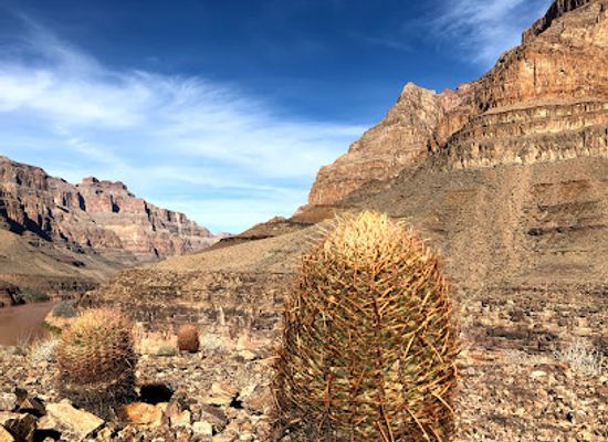 nevada/red-rock-canyon-national-conservation-area/landmark/sloan-canyon-national-conservation-area