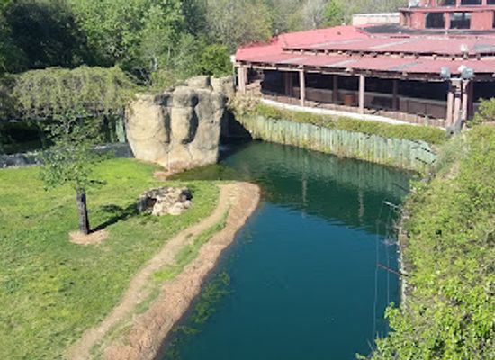 alabama/chattahoochee-river/landmark/montgomery-zoo-mann-wildlife-learning-museum