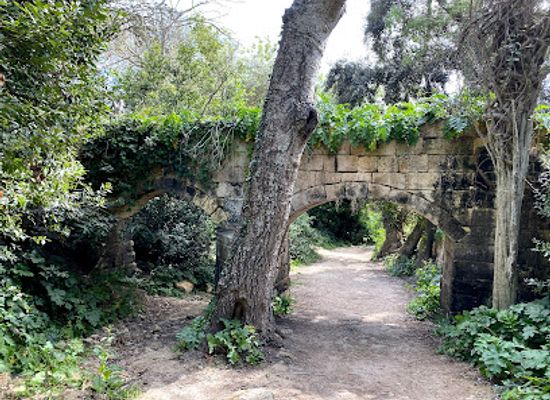 malta/buskett-gardens/landmark/buskett-woodlands