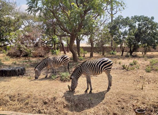 zambia/chirundu-valley/landmark/munda-wanga-environmental-park