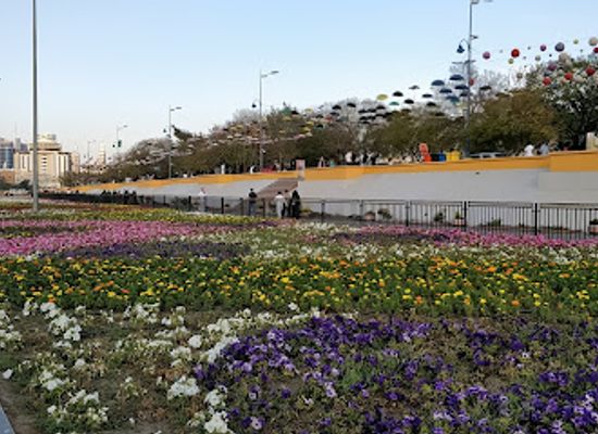 saudi-arabia/abha/landmark/abha-flower-show