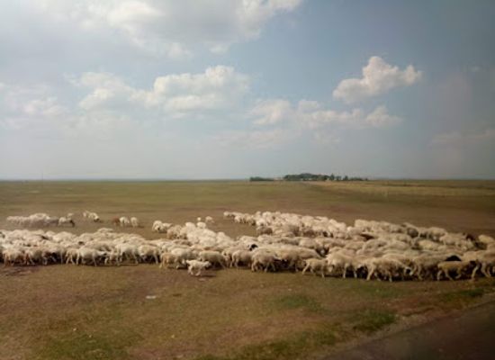 mongolia/mongolian-manchurian-grassland/landmark/mongolian-plateau