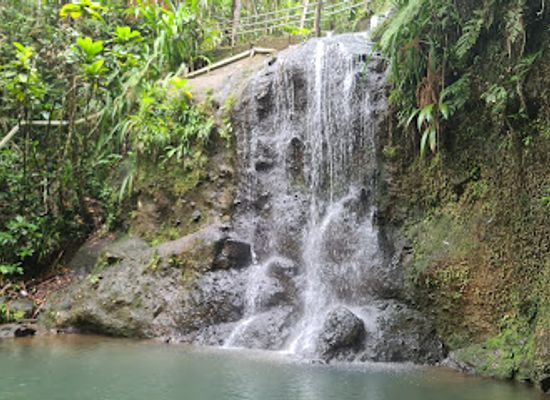 fiji/nausori/landmark/colo-i-suva-forest-park
