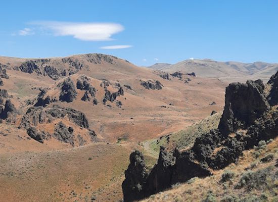 idaho/owyhee/landmark/owyhee-country-viewpoint