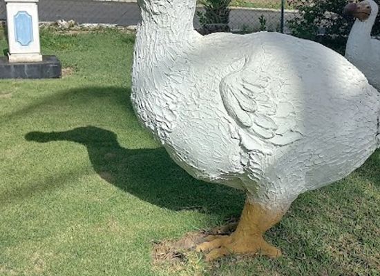 mauritius/flic-en-flac-beach/landmark/dodo-roundabout-flic-en-flac