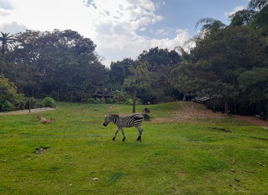 colombia/los-llanos/landmark/parque-de-la-conservacion