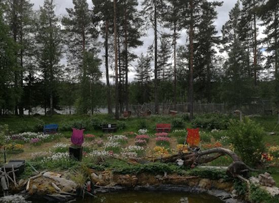 sweden/vasternorrland/attraction/farm-backsjon
