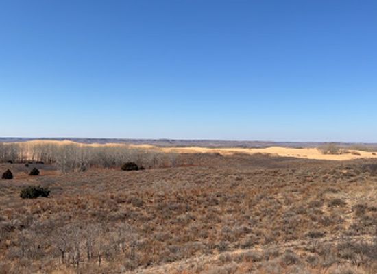 oklahoma/little-sahara-state-park/landmark/little-sahara-state-park-observation-deck