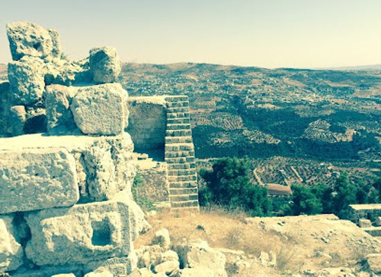 jordan/tafileh-highlands/landmark/ajloun-castle