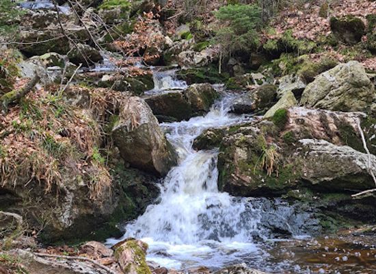 belgium/hautes-fagnes/landmark/cascade-de-nutons