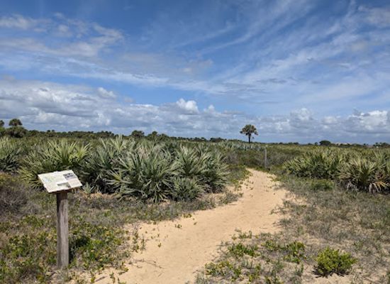 florida/nature-coast/landmark/coconut-point-sanctuary