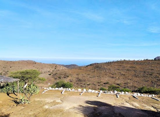 djibouti/petit-bara-desert/landmark/day-forest-national-park