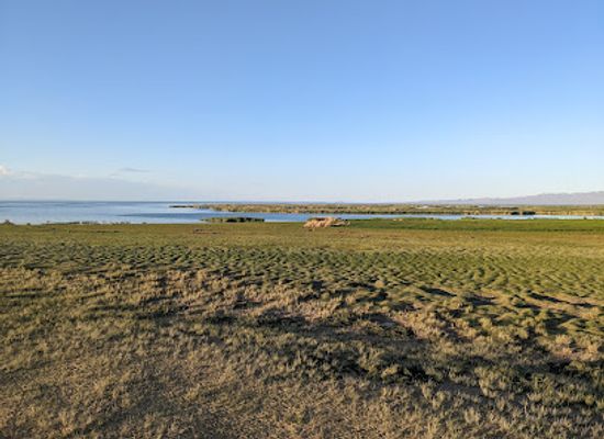 mongolia/ikh-nuur-basin/landmark/khar-us-lake