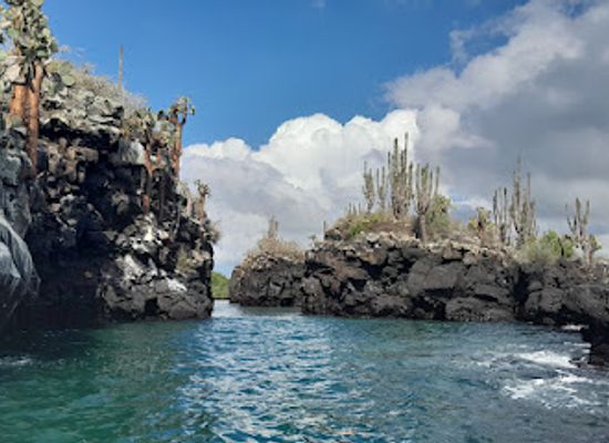 ecuador/galapagos-islands/landmark/galapagos-up-las-grietas